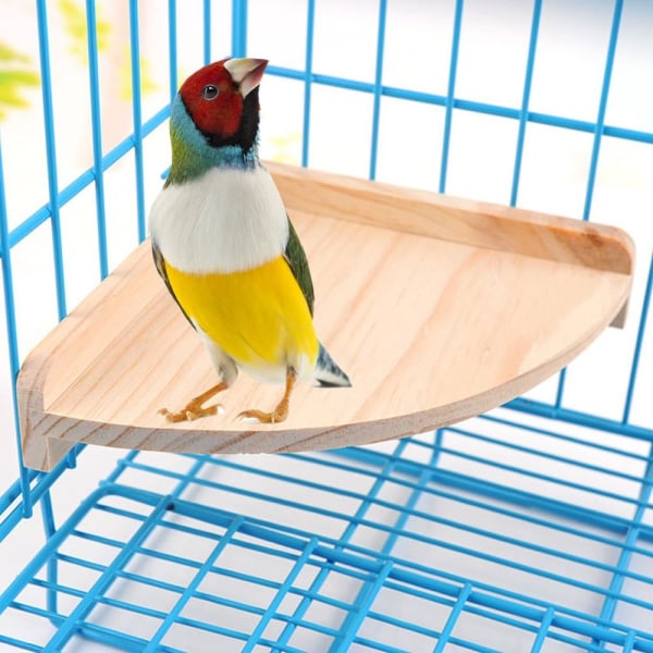 Pet Bird Abbor Plattform Stativ Tre for smådyr papegøye