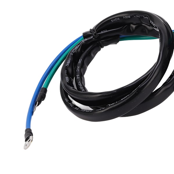 Kraftfull Tilt Trim Motor 6KW 43880 00 Utombordare Trim Enhet Assy för F150 LF150 F150A F150AET F150AETL F150AETX