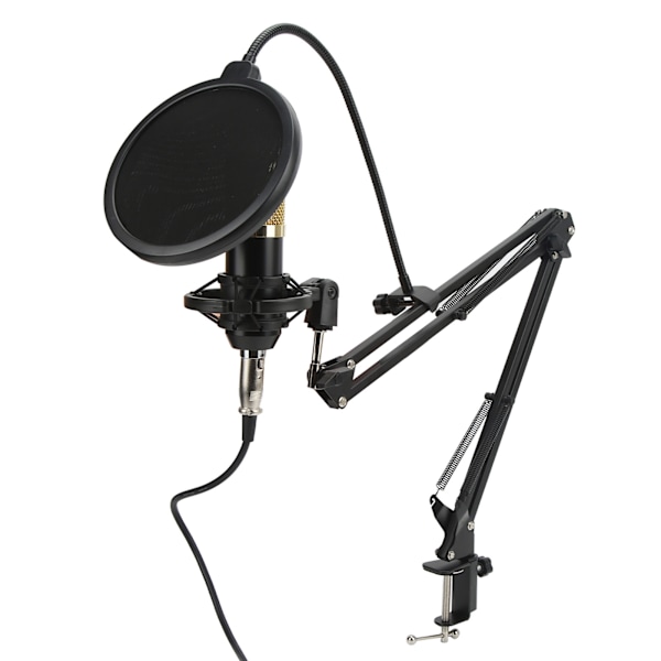 Kondensatormikrofon Ljudkort Set Professionell Studio Mikrofon Kit med Vikbart Armfäste för Inspelning Live Streaming