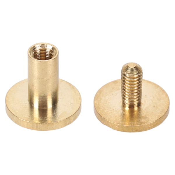50 Set Läderfästen Kit Nitar för Bindning Bälte Rem Krage Baksideskruvar Läderverktyg 10x10mm