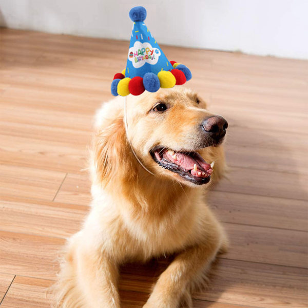 Hund Födelsedagsbandana Scarf och Dog Girl Pojke Födelsedagsfest Hatt