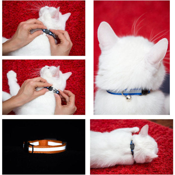 Oppgradert versjon - Reflekterende kattehalsbånd med klokke, sett med 6,