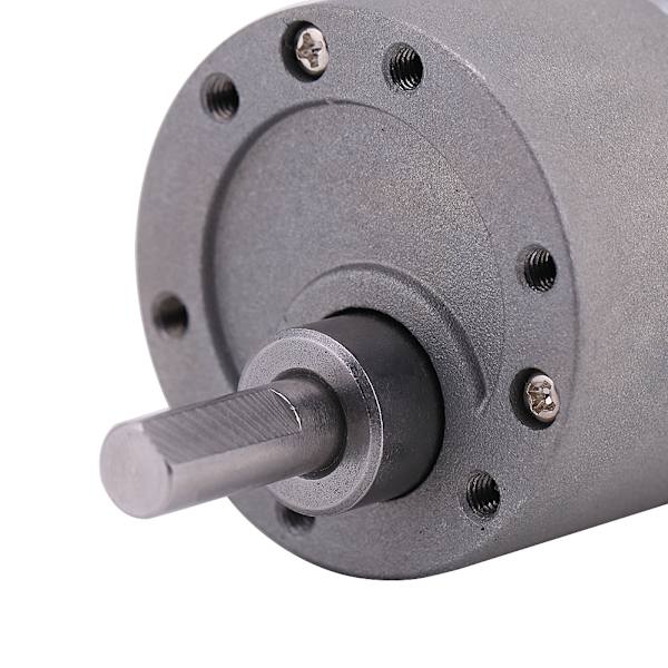 DC 15W Stor Vridmoment Växelmotor CW/CCW 12V 24V