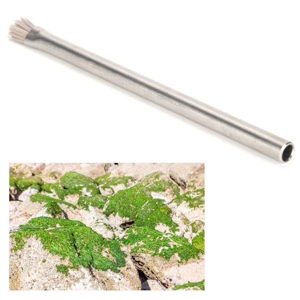 Akvarium Sten Alger Borste Rostfritt Stål Rengöringsborste för Betong