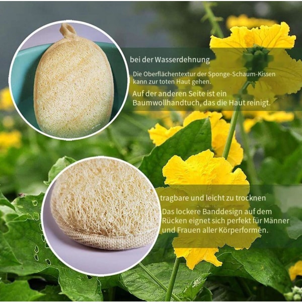 Naturlig Loofah Svamp Eksfolierende Kroppsskrubb (2 stk),