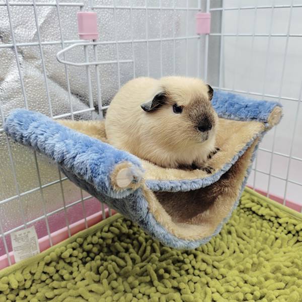 Hängande Hammock för Smådjur Dubbellager Lätt att Rengöra Plysch Hängande Hammock Säng för Ekorrar Gyllene Björnar Chinchillor L Blå