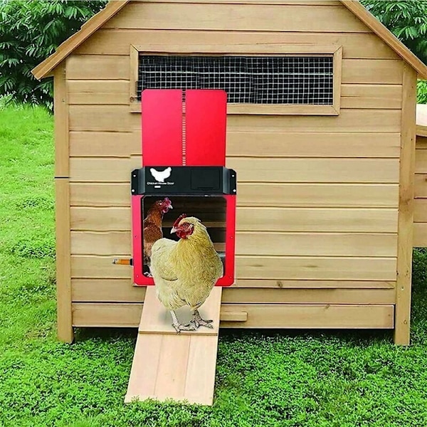 Hönshus, Lätt Att Rengöra & Rymlig Design, Robust Konstruktion Med Ecoflex-Material För En Hållbar Utomhuslösning, 35 X 24 X 3.7 Cm, Röd