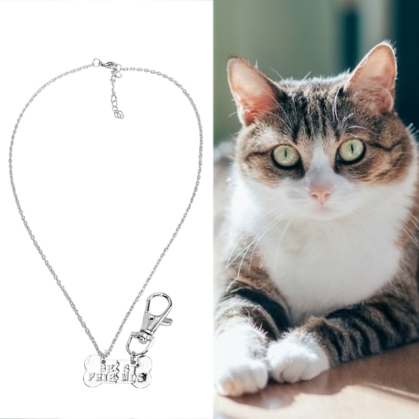 Alloy Ägare och Husdjur Par Hundben 2 Sammanfogning Halsband Hundbricka Kedja 2 Dela Hängsmycken Silver Vit Ord 2 Sammanfogning Hundben Ägare Halsband och Husdjur