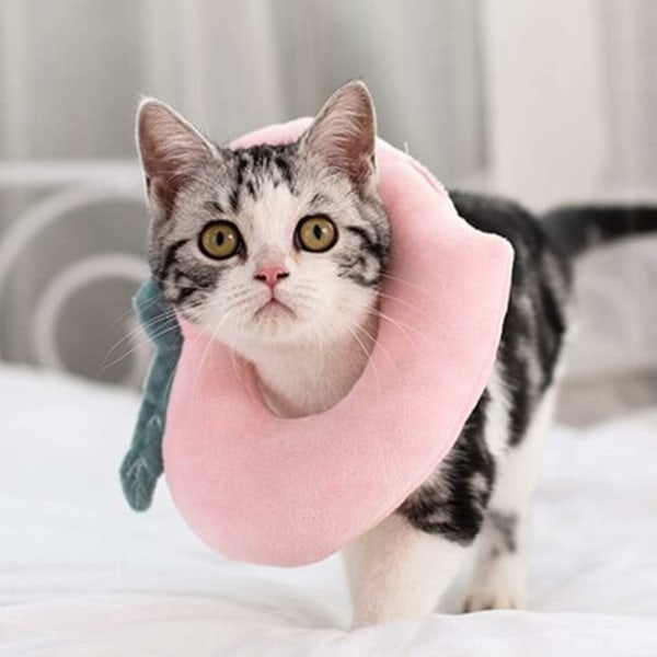 Isabelino Heiqlay Halsbånd, Cat Recovery Collar Beskyttende Halsbånd