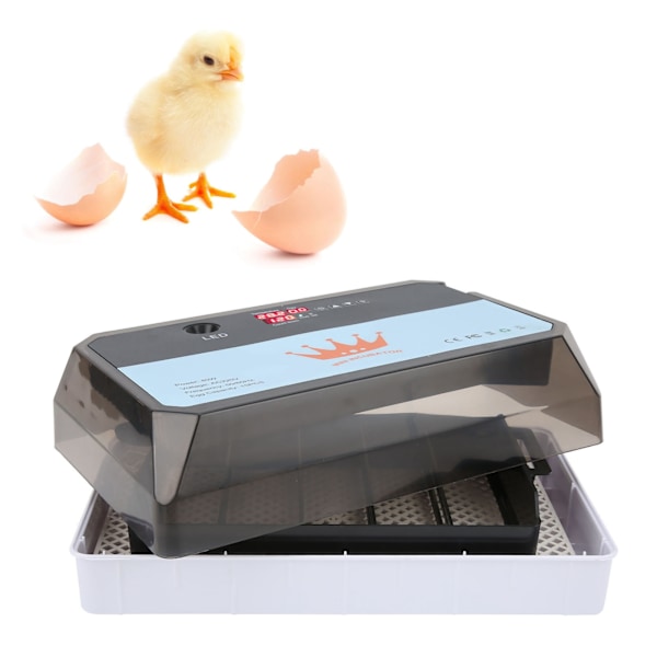 Full Automatisk Inkubator Husholdning Liten 15 Egg Inkubator for Kylling And Fugl Due Vaktel AU Plugg 220V