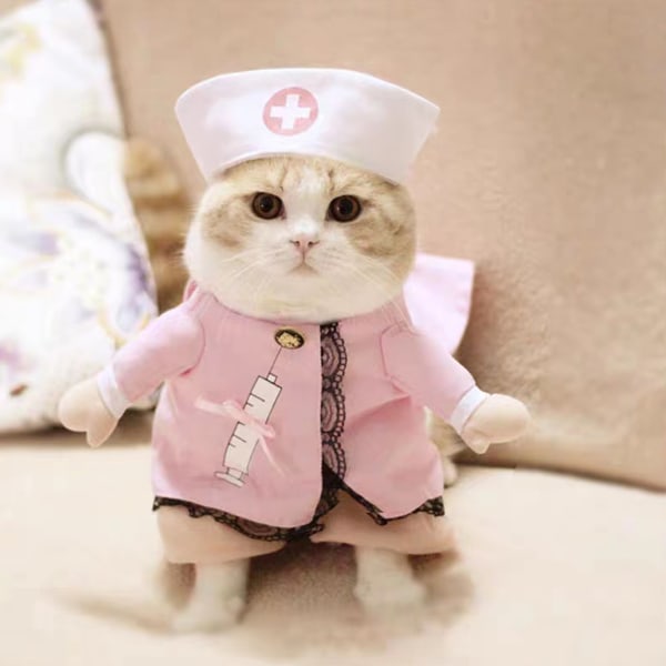 Lemmikkikoira-kissa Halloween-asu Doctor Nurse-asu Koiran farkut