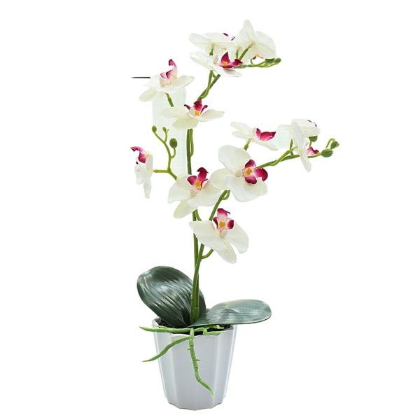 Falsk blomst phalaenopsis bonsai desktop liten dekorasjonsplante