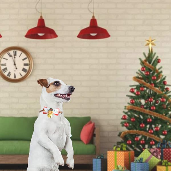 Julehalsbånd til hunde - Blødt tilbehør til kæledyrshalsbånd til hunde style 4 L