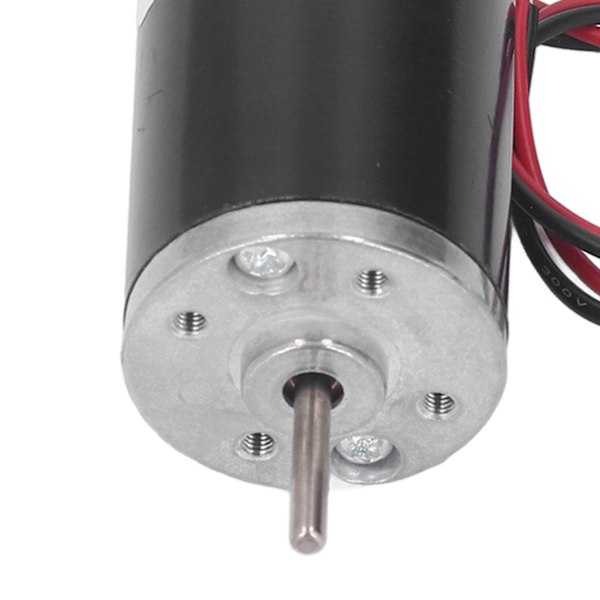 31ZY Pysyvän Magneetilla Varustettu Sähkömoottori Korkea Vääntömomentti Säädettävä Nopeus Metallivaihteinen Moottori DC 24V 6000RPM
