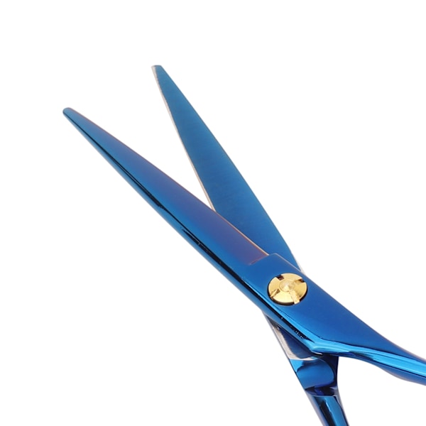 Professional Hair Cutting Flat Scissors Salon Barber Hairdressing Shear (Blue)