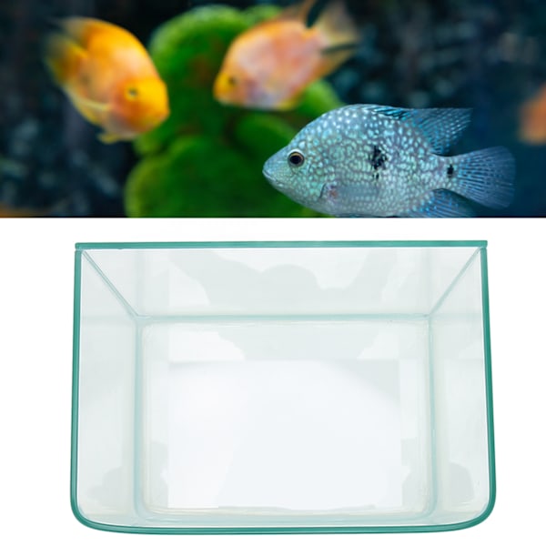 Fish Tank High Polished Edges Heat Bending Plastic Technology Clear Fish Tank for Home Living Room Balcony Desktop S