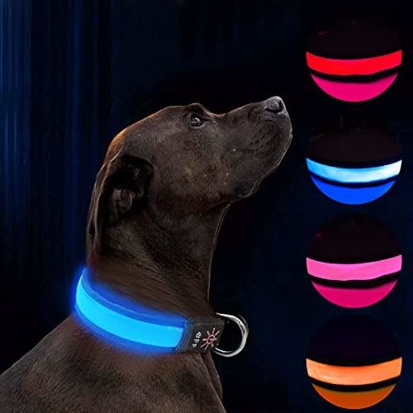 LED Light Up koiranpanta Vedenpitävä USB ladattava koiranpanta,