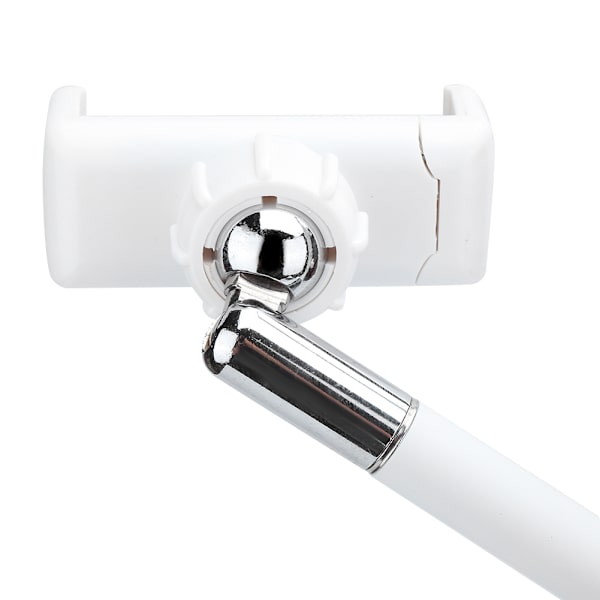 LED Ringlys for Live Streaming, Studiofotografering, Salong, Tatovering, Fylllys (Svart)