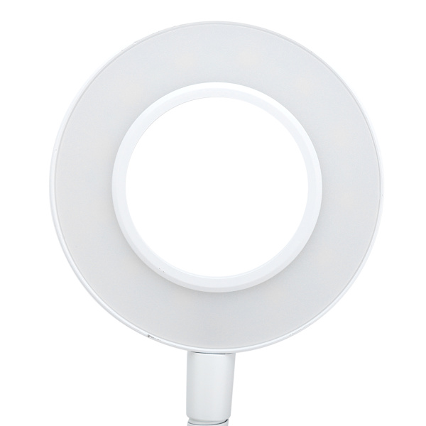 LED Ringlys for Live Streaming, Studiofotografering, Salong, Tatovering, Fylllys (Svart)
