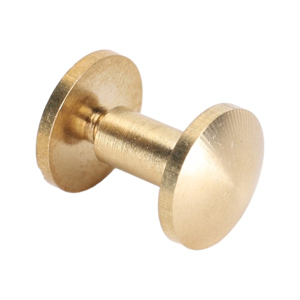 50 Set Läderfästen Kit Nitar för Bindning Bälte Rem Krage Baksideskruvar Läderverktyg 10x10mm