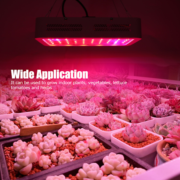 Vækstlys Panel 100 LED'er 1000W Fuld Spektrum Plantelampe Dobbeltkontakter til Spirende Blomstringsperiode EU Stik 85-265V