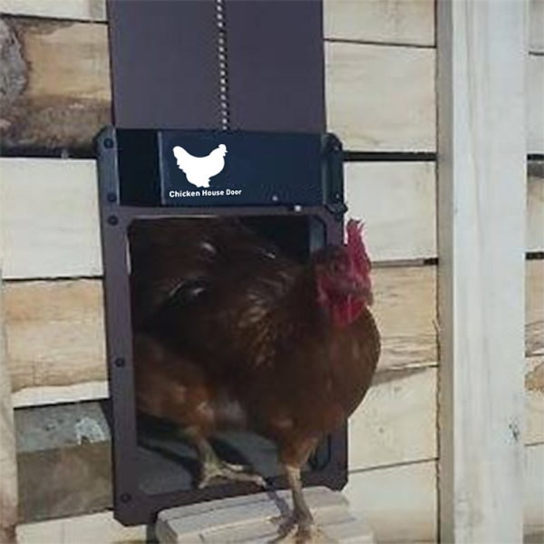 Fowl Guardian, Automatisk Hönshusdörr, Slitstark Aluminiumlegering, Anti-klämfunktion, Vattentät, Soldriven för Problemfri Användning, Ljussensor