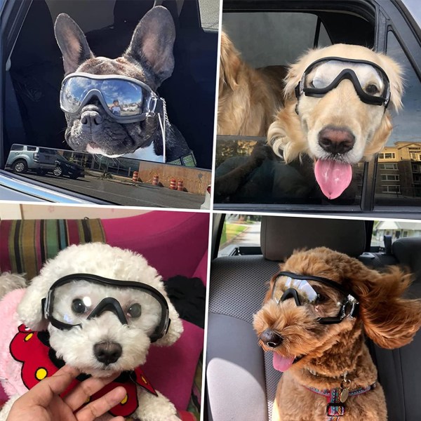 Hundglasögon Liten ras, UV-skydd Hundsolglasögon för