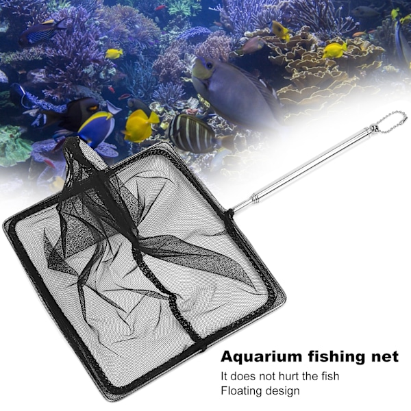 Udtrækkelig Fiskenet af Rustfrit Stål Teleskopisk Landing Net til Tank Søer (8' (20*15* (14-51) cm))