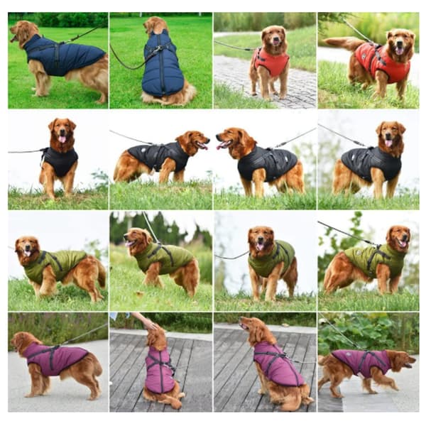 Vanntett og varm hundevattertøy for kjæledyr, høst og vinter
