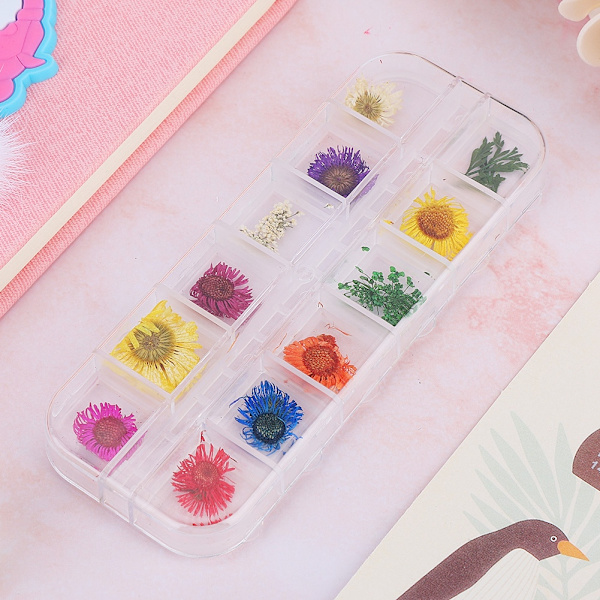 12 Färger Naturliga Torkade Blommor för Akryl UV Gel Nagelkonst Tips Design Case DIY Dekoration B