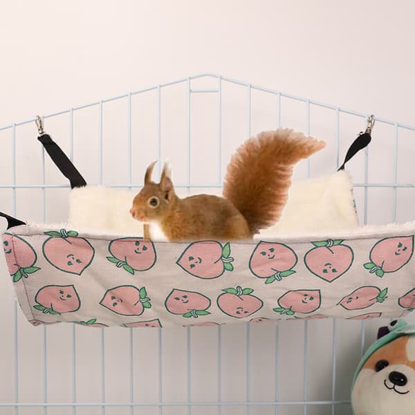 Køjeseng Hængekøje Bur Legetøj til Hamster Rotte Sugar Glider Papegøje Marsvin Skjulested Leg Sov