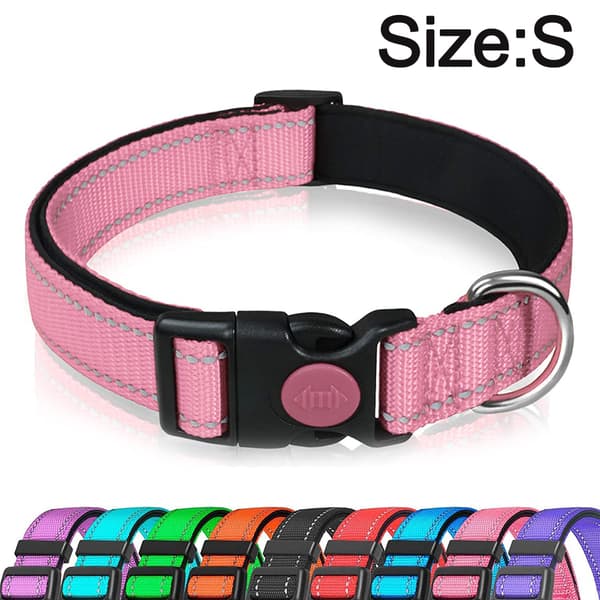 Kæledyrsstil: Holdbart nylon webbing halsbånd med blød neoprenpolstring, reflekterende tråde, til små til store hunde, Rose, Quick Release