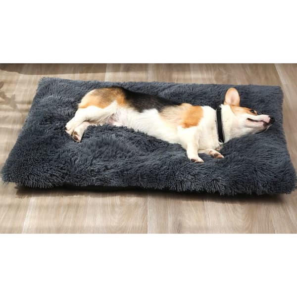Hundsovsäck Vinter Varm Plysch Kattsäng XXL Mörkgrå