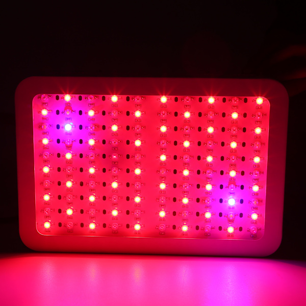 Vækstlys Panel 100 LED'er 1000W Fuld Spektrum Plantelampe Dobbeltkontakter til Spirende Blomstringsperiode EU Stik 85-265V