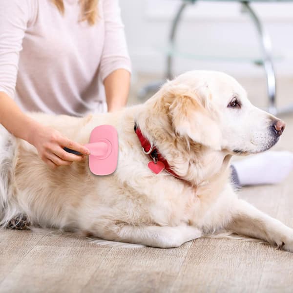Børste til hunde og katte, lyserød plejekam til hunde og katte med
