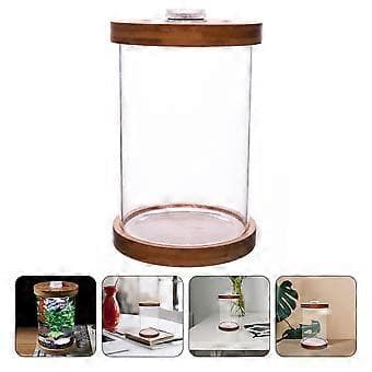1 stk. Lite Glass Akvarium Bambus Base LED Mini Akvarium Borddekorasjon