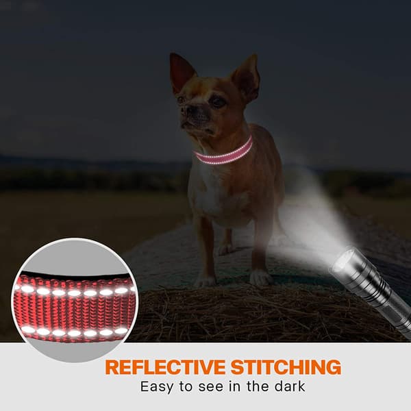 Kæledyrsstil: Holdbart nylon webbing halsbånd med blød neoprenpolstring, reflekterende tråde, til små til store hunde, Rose, Quick Release