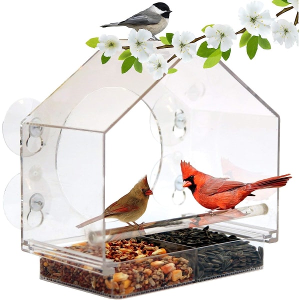 Window Bird House Mater av natur hvor som helst med glidende frø