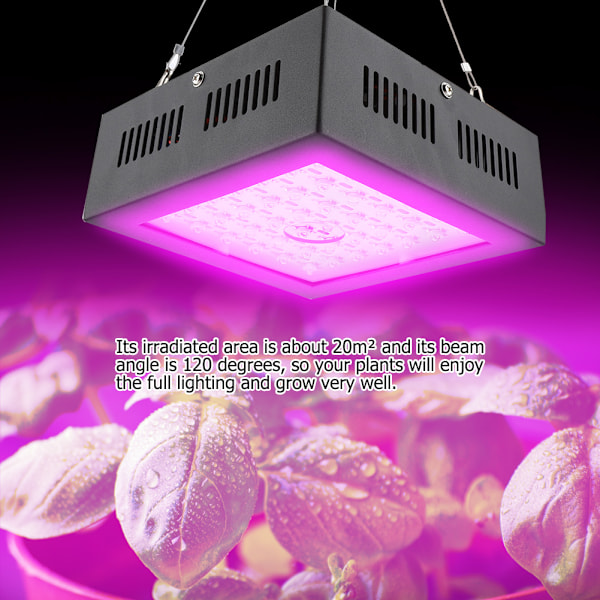 85V-265V 80W 42st LEDs Växtlampa för Växthus Inomhusväxter Grönsaker Blommor (AU-kontakt)