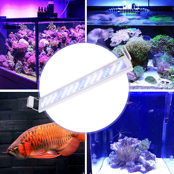 Super Slim Akvarium LED Lys Spektrum Plante Fiskekum Lampe (SC-40)