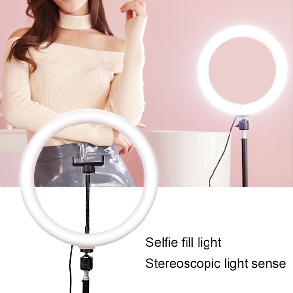 LED Live Streaming -rengasvalo Studiovalokuvaus Selfie Tattoo Täyttövalo Vaaleanpunainen (12 tuumaa)