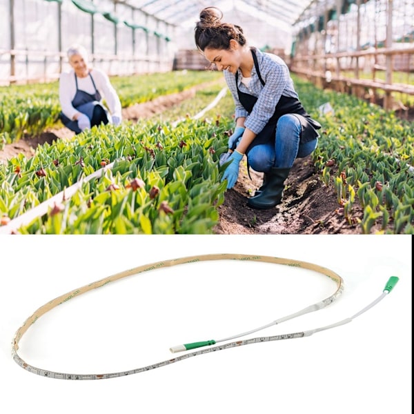 AC 100-240V LED Växtlampa Strip för Växthus Grönsak Blomsterlampa (US Standard)