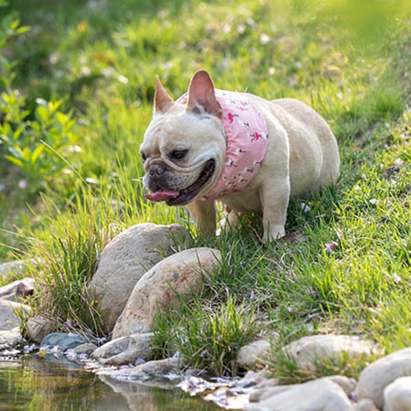 Hundekølekrave med dobbelt snøretræk, reducerer temperatur, justerbar ispose til hunde til gåture, sport, flamingo M(45-60cm)