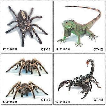 3D Bildekal Spindel Gecko Djur Simulering Bil Bakdekal Realistisk Modifiering