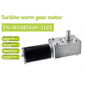 5840-31ZY Turbo Maskväxel Encoder Micro-DC Reduktionsmotor Självlåsande Hastighetskontroll Liten Motor 24V