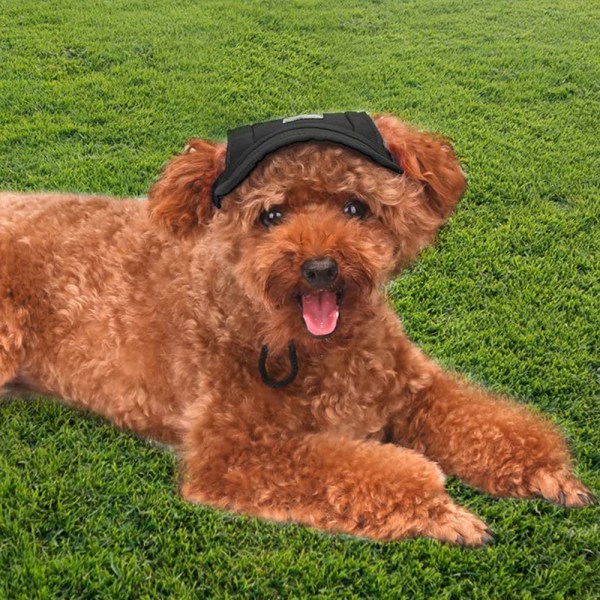 Hundehat, Pet Baseball Cap/Hunde Sport Hat/Visor Cap med øre