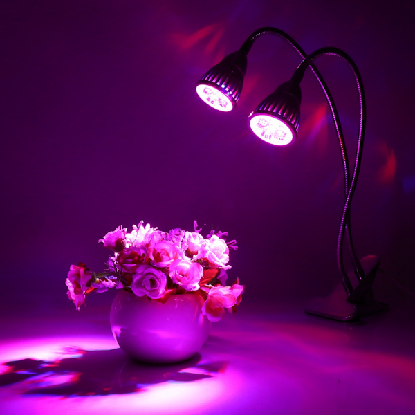 Trendikäs 10W kaksoispääinen LED-kasvivalo joustavalla kaulalla ja pöytäkiinnikkeellä