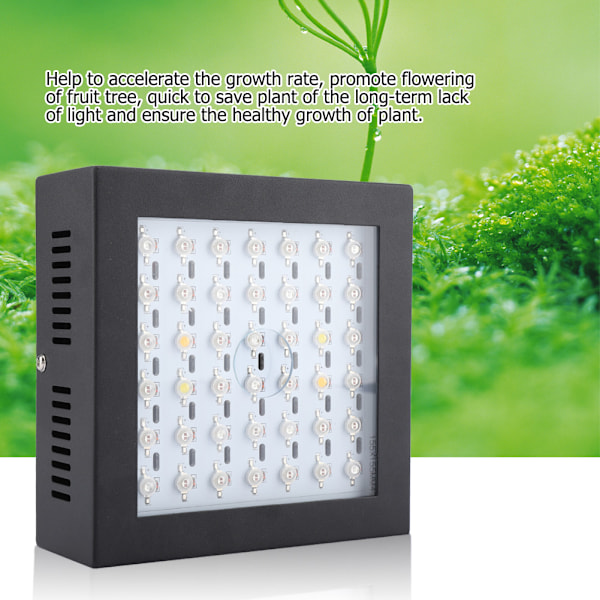85V-265V 80W 42st LEDs Växtlampa för Växthus Inomhusväxter Grönsaker Blommor (AU-kontakt)