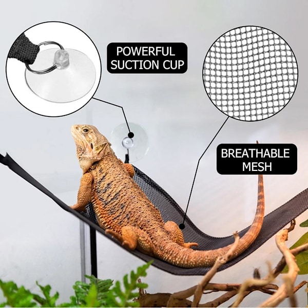 2 st. Skäggagam Hammock Triangel Reptilhängmatta för Skäggagamer Ödlor Reptil