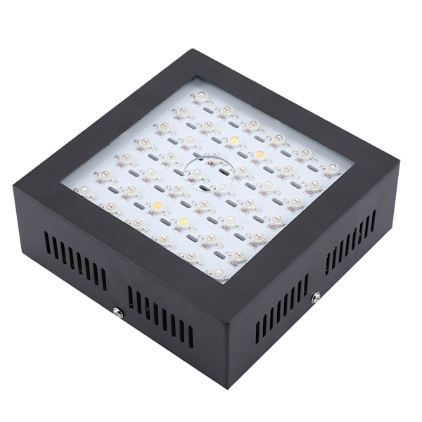85V-265V 80W 42st LEDs Växtlampa för Växthus Inomhusväxter Grönsaker Blommor (AU-kontakt)